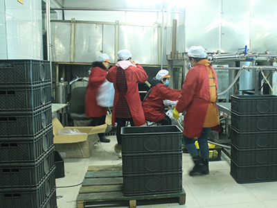 中興紅高梁總廠